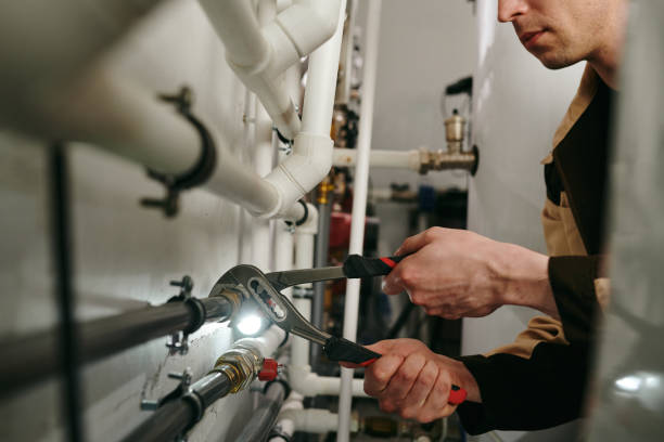Best Leak Detection Services  in Fenton, MI