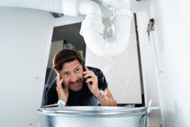 Best Sewer Line Repair  in Fenton, MI