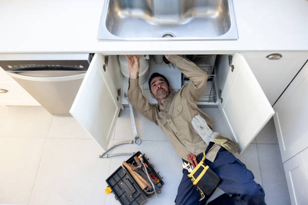 Best Same-Day Plumbing Service  in Fenton, MI