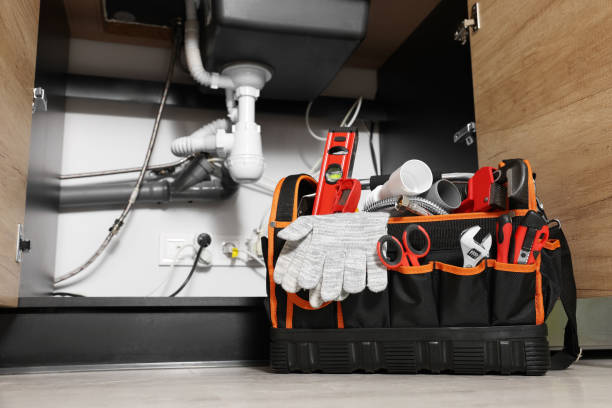 Best Local Plumber Services  in Fenton, MI