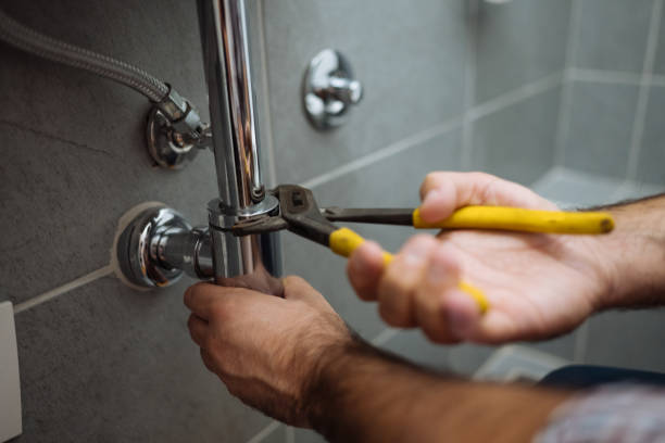 Best Faucet Repair  in Fenton, MI