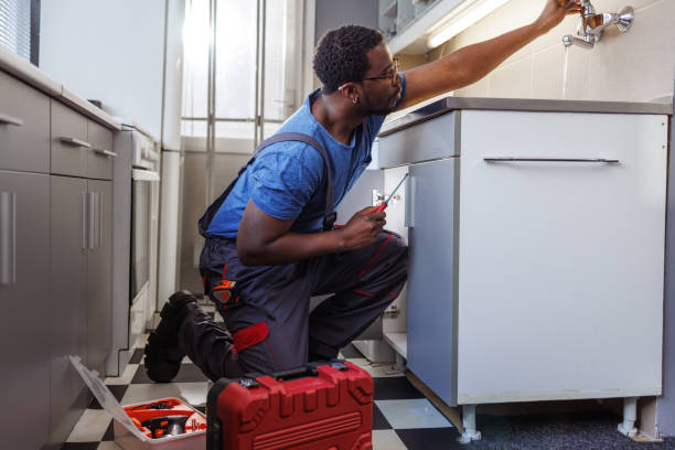Best Plumbing Inspection Services  in Fenton, MI