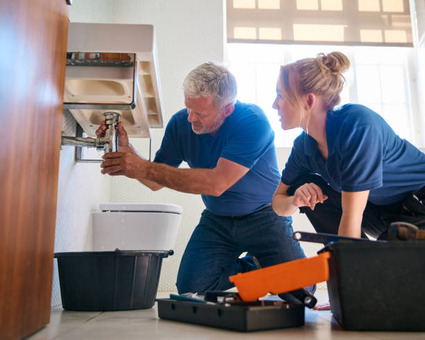 Best Plumbing Repair Near Me  in Fenton, MI